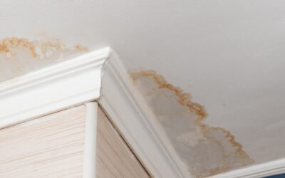 What To Do If You Have a Leaking Roof
